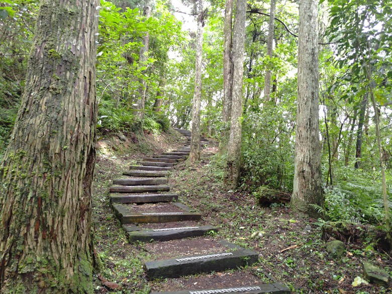 【遊記】回到「大漠國渡」的「起點」，續寫「森林之旅」，東眼山國家森林遊樂區 - 大漠國渡