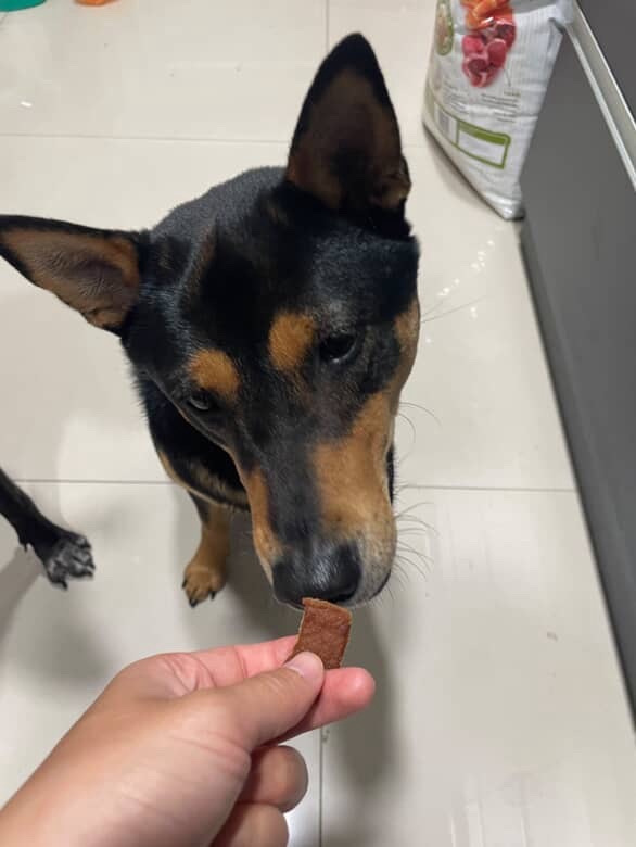 火雞肉風乾肉片分享