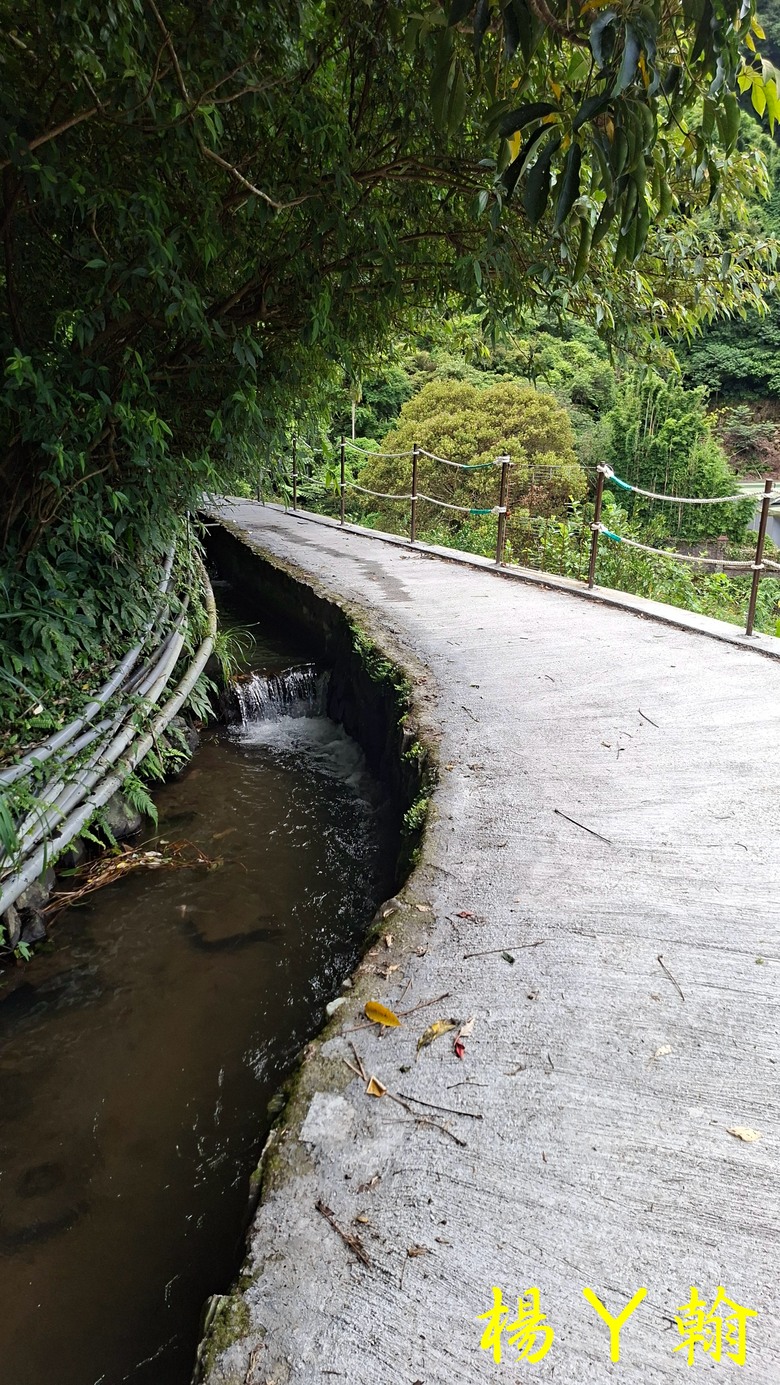 【郊山走走】草山觀瀑吊橋觀瀑、猴崁水圳古道消暑、頂湖山登山健行