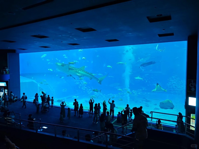 🐠 這裡真的不是普通的水族館!