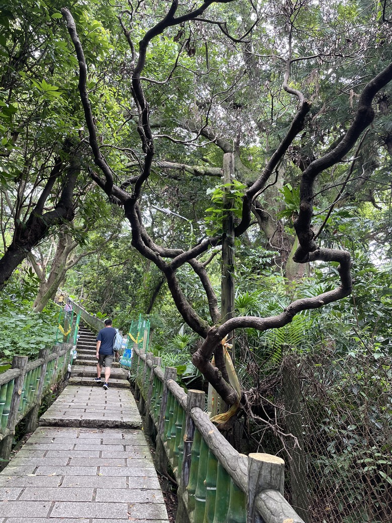劍潭山親山步道 | 隱身在喧鬧繁華之中的一抹幽靜