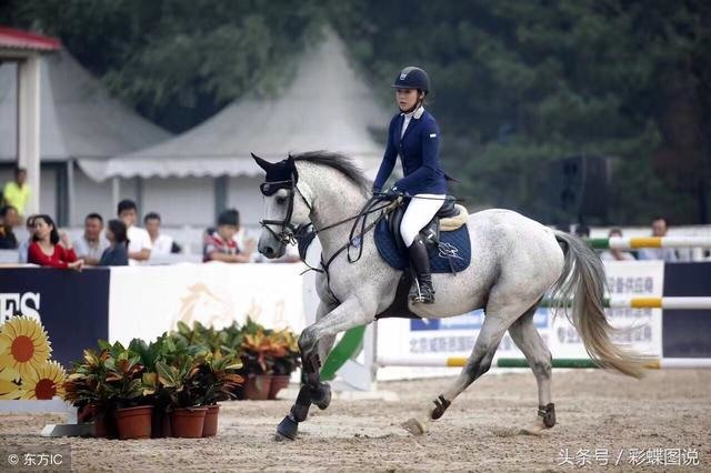 如果你交往的對象是一名運動職業選手或是業餘選手,不管男女哪一方,會希望和她(他)結婚嗎?會希望他放棄自己的事業嗎?