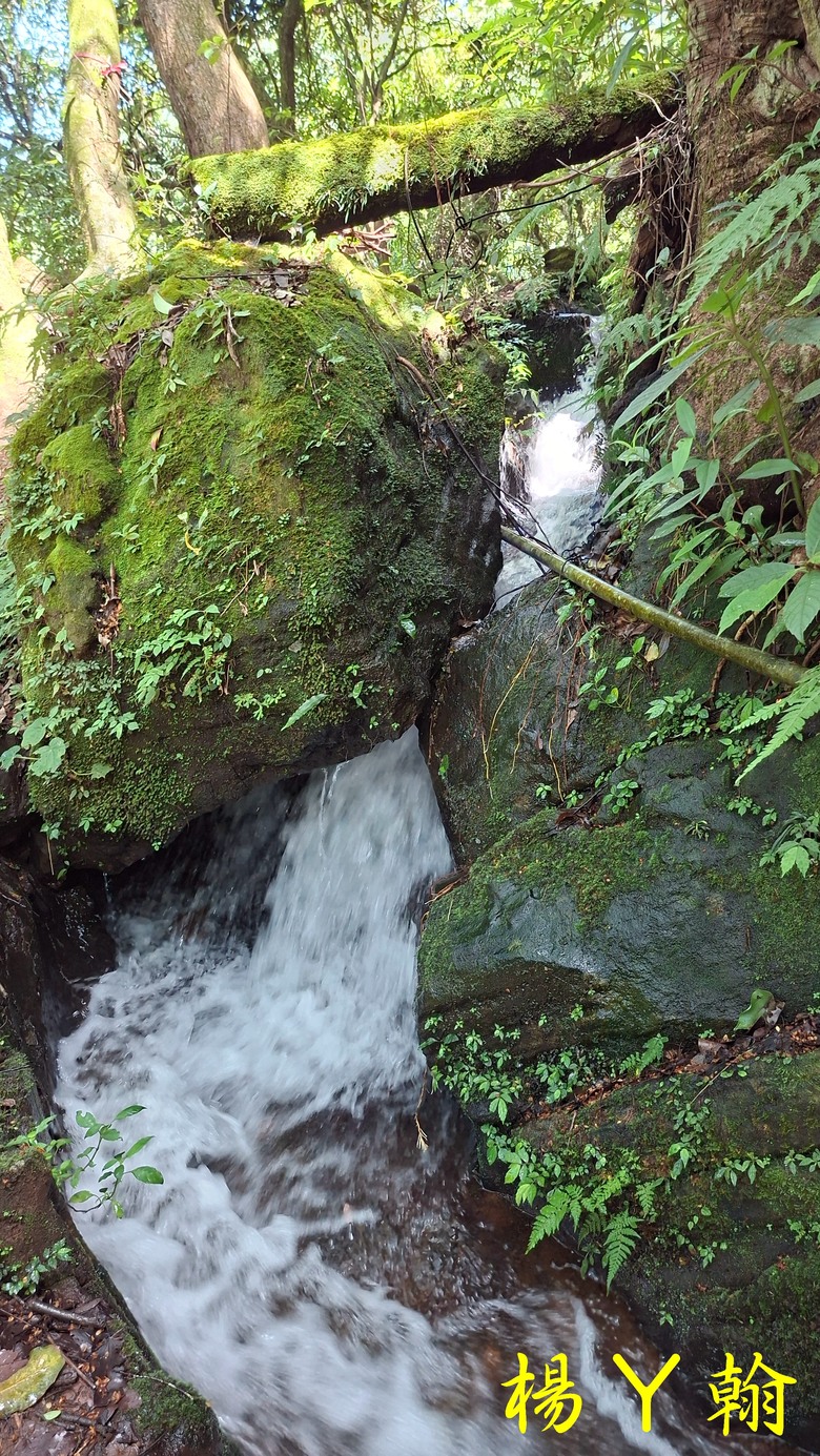 【郊山走走】草山觀瀑吊橋觀瀑、猴崁水圳古道消暑、頂湖山登山健行