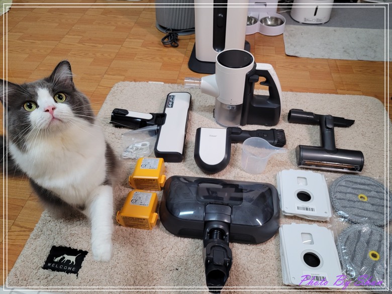暑假家庭好幫手-LG A9X-Steam 乾濕全能無線吸塵器-All in one一台搞定吸塵、拖地再加自動集塵,真是好神器!!