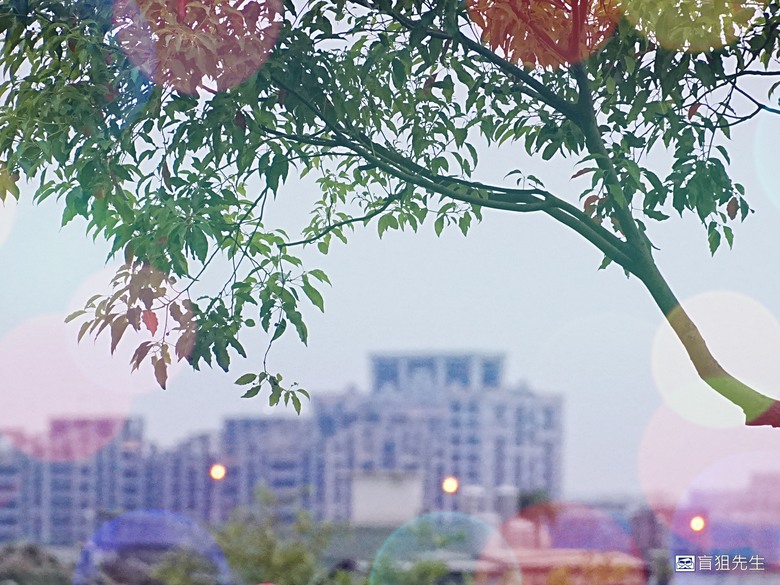 【盲狙先生傳100】SONY a6700M 被小惡魔推坑篇 | SEL18135 KIT鏡+SEL16F2.8,街拍、旅遊一次到位的入門機首選