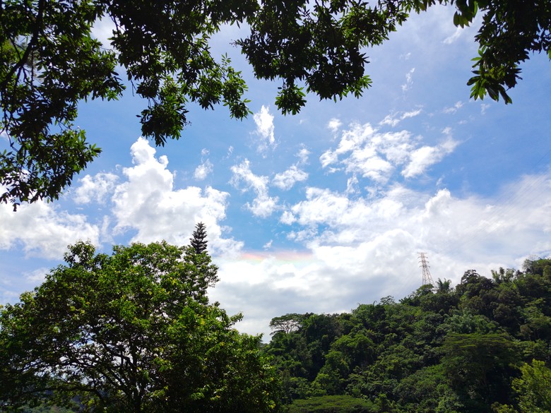 【遊記】說好的「天長地久」，沒想到會來不及「將它記下」，觸口天長地久橋 (阿里山國家風景區) - 大漠國渡