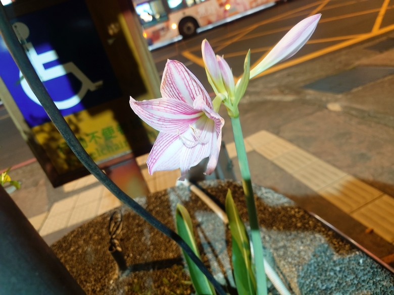 詐騙集團無處不在