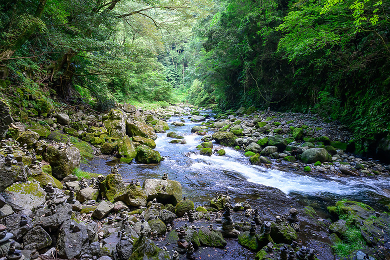 用NIKON 24-70mm F2.8S走訪日本熊本（小開箱）