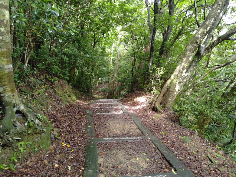 【遊記】回到「大漠國渡」的「起點」，續寫「森林之旅」，東眼山國家森林遊樂區 - 大漠國渡