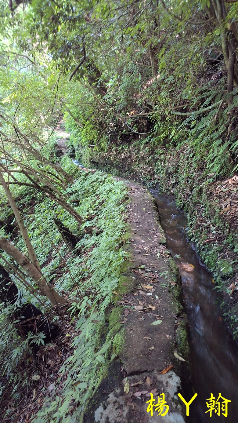 【郊山走走】草山觀瀑吊橋觀瀑、猴崁水圳古道消暑、頂湖山登山健行