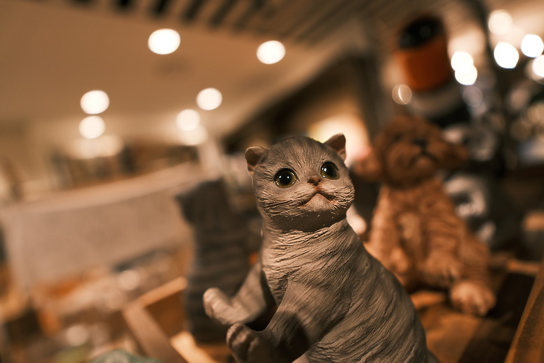 Sigma 12mm f/1.4 DC Contemporary 評測報告｜制霸 APS-C 無反、最廣的 f/1.4 定焦鏡！