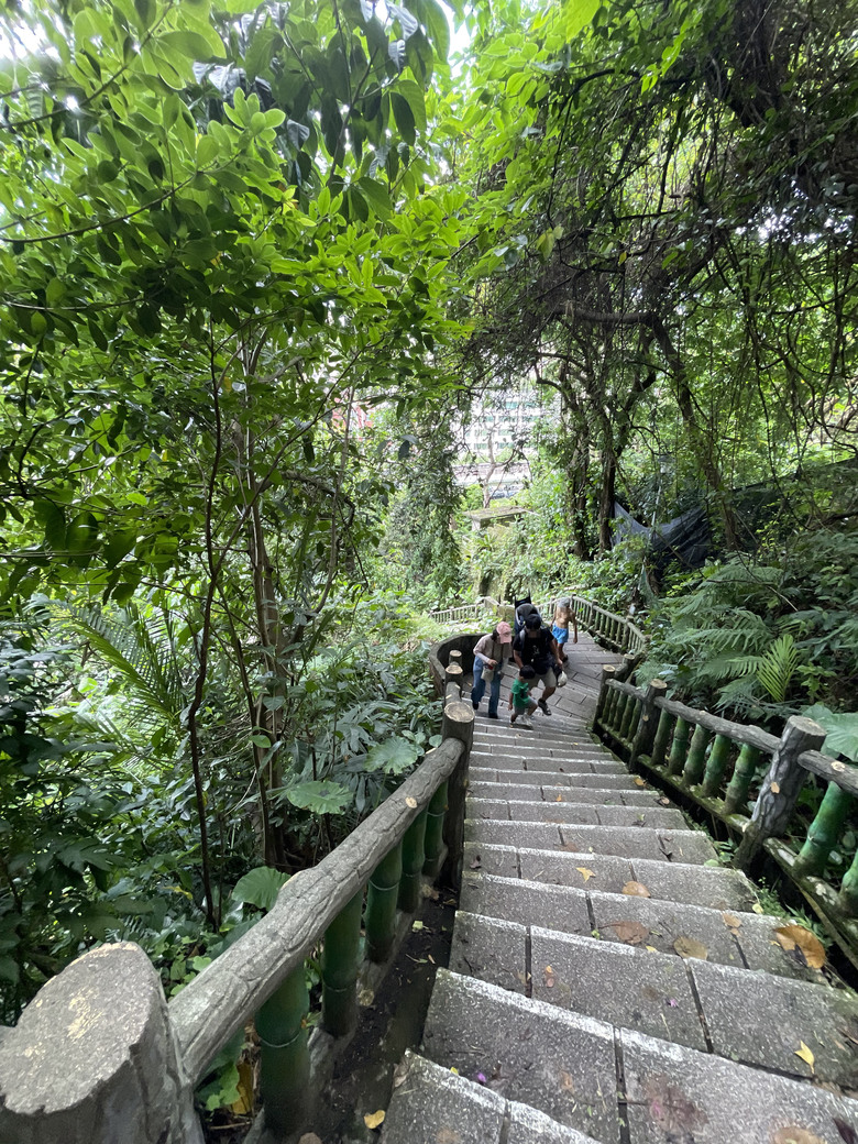 劍潭山親山步道 | 隱身在喧鬧繁華之中的一抹幽靜