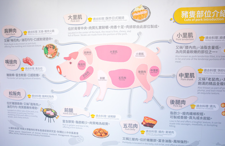 點我看大圖 蓋婭莊園、丸聚星球、老楊方塊酥觀光工廠、永光故事屋、蕭老師火雞肉飯 景點美食一次打包