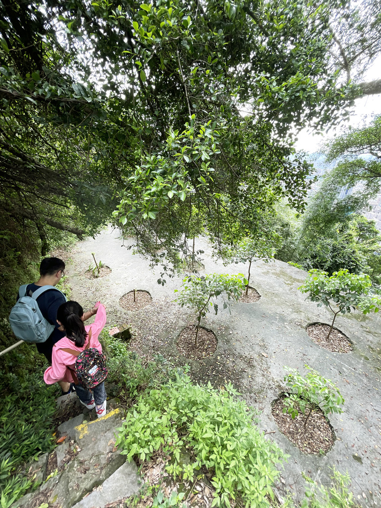 劍潭山親山步道 | 隱身在喧鬧繁華之中的一抹幽靜