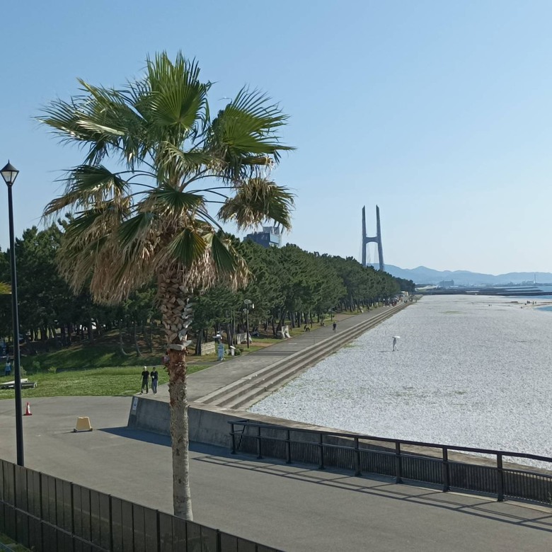 【關西5日自駕遊】大阪(府)泉佐野、神戶淡路、京都，美食/溫泉/美景之旅遊分享。【上集】