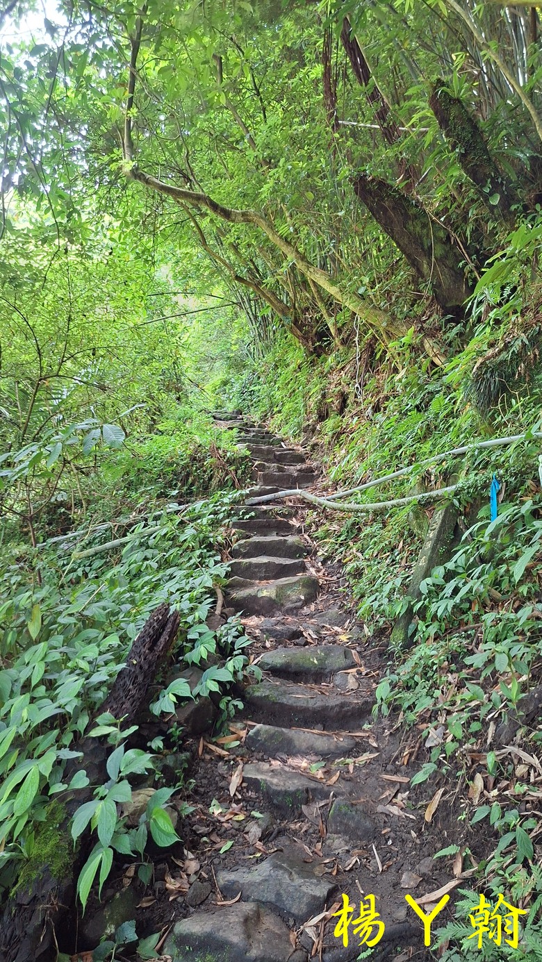 【郊山走走】草山觀瀑吊橋觀瀑、猴崁水圳古道消暑、頂湖山登山健行