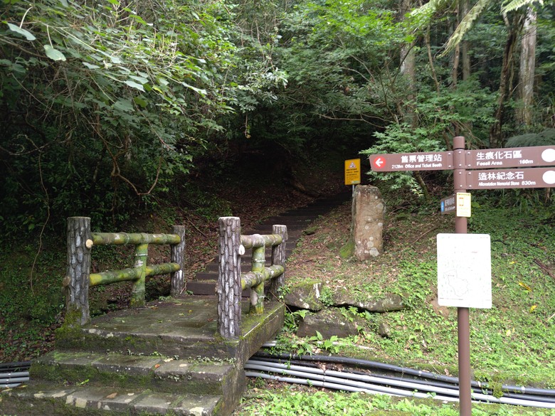 【遊記】回到「大漠國渡」的「起點」，續寫「森林之旅」，東眼山國家森林遊樂區 - 大漠國渡