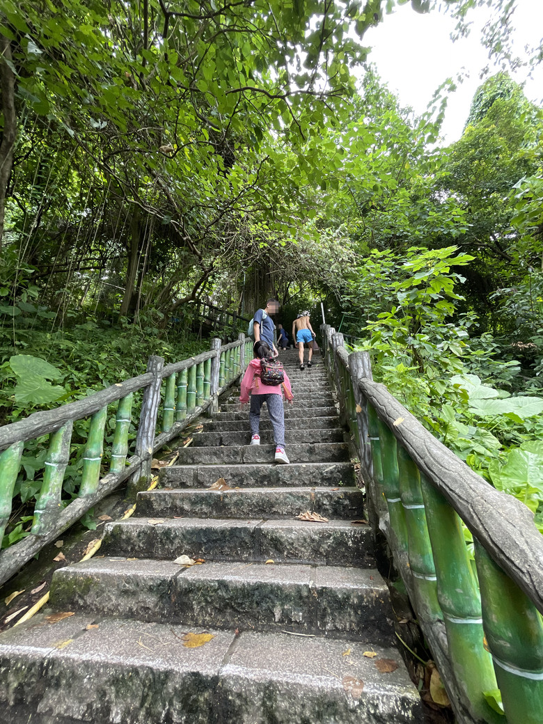 劍潭山親山步道 | 隱身在喧鬧繁華之中的一抹幽靜