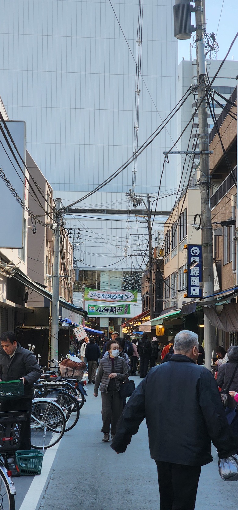 【遊記】2025三週日本遊:北海道|東北|東京 - 中篇