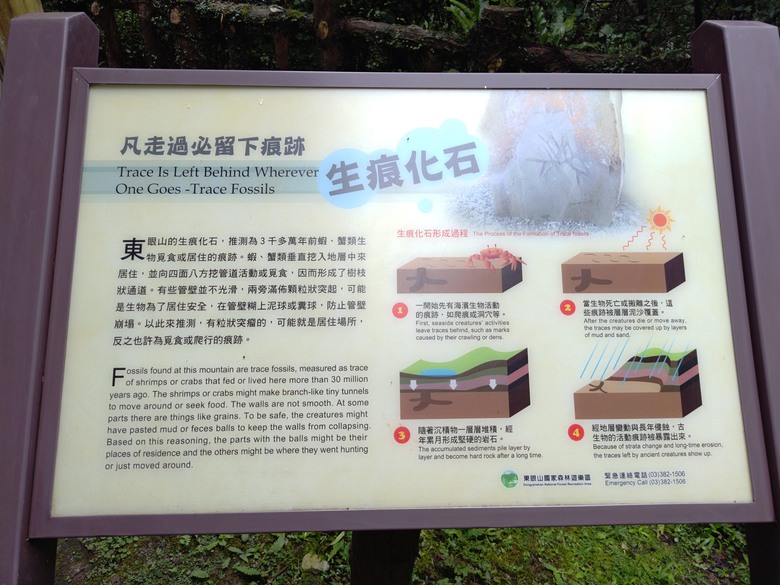 【遊記】回到「大漠國渡」的「起點」，續寫「森林之旅」，東眼山國家森林遊樂區 - 大漠國渡
