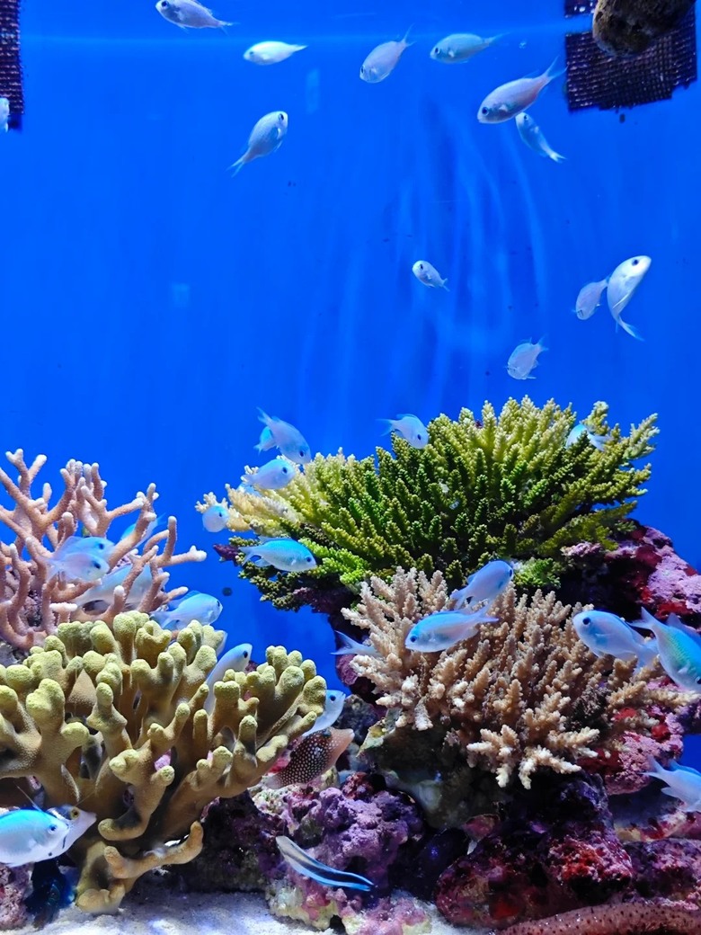 🐠 這裡真的不是普通的水族館!