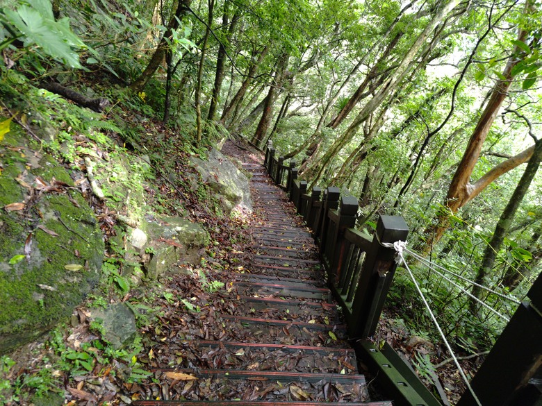 【遊記】回到「大漠國渡」的「起點」，續寫「森林之旅」，東眼山國家森林遊樂區 - 大漠國渡