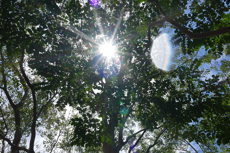 Sony RX1R III 評測報告｜最輕巧的全幅隨身機、沒有之一！