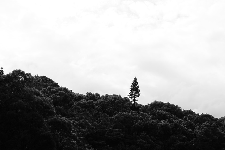 點我看大圖 Sony RX1R III 評測報告|最輕巧的全幅隨身機、沒有之一!