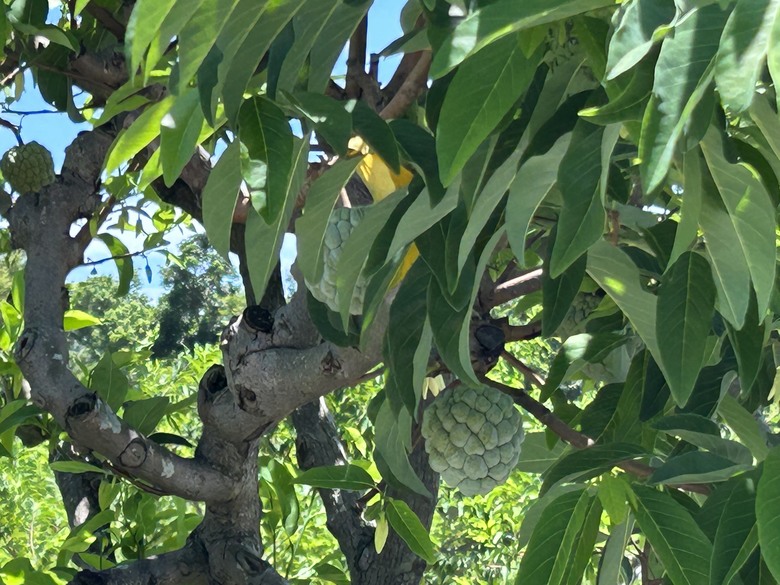 騎 上 秘 境 1 9 7 縣 道