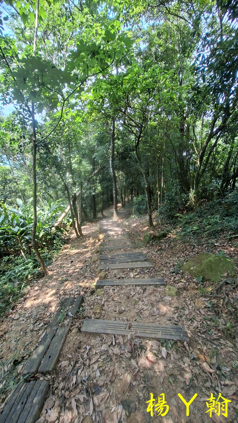 【郊山走走】汐止三山兩湖一峰+鷹石尖 環形縱走