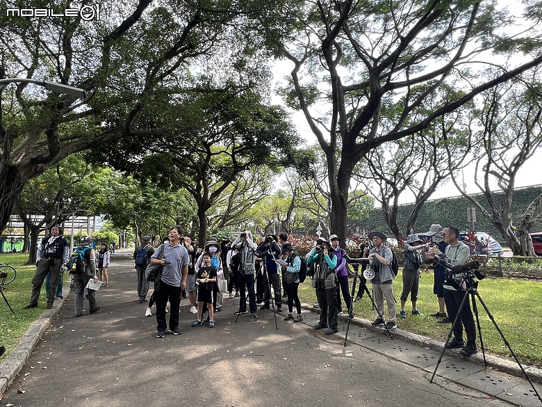 週末早晨青年公園賞鳥趣 - 體驗蔡司望遠鏡 SFL 系列