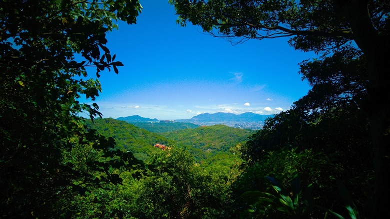 微笑山線:百年榕樹 × 大棟山405高地,鶯樹縱走大挑戰