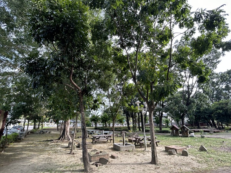 嘉 義 南 靖 保 鹿 自 行 車 道