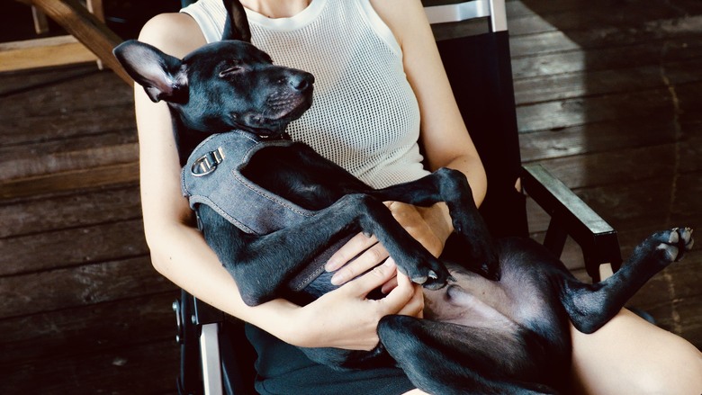 實測$萬元烤肉爐 三種烤盤做三種料理