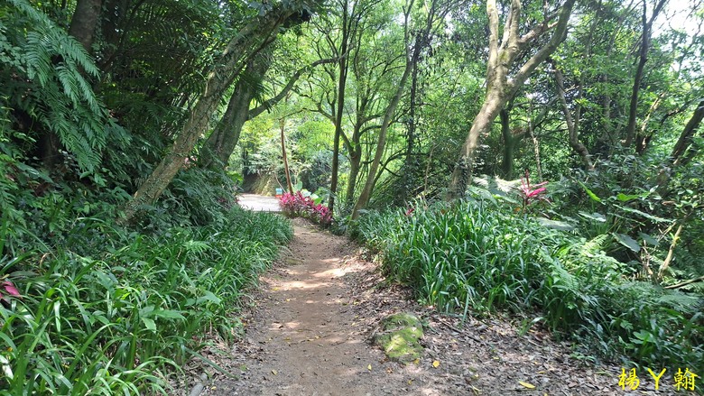 【郊山走走】汐止三山兩湖一峰+鷹石尖 環形縱走