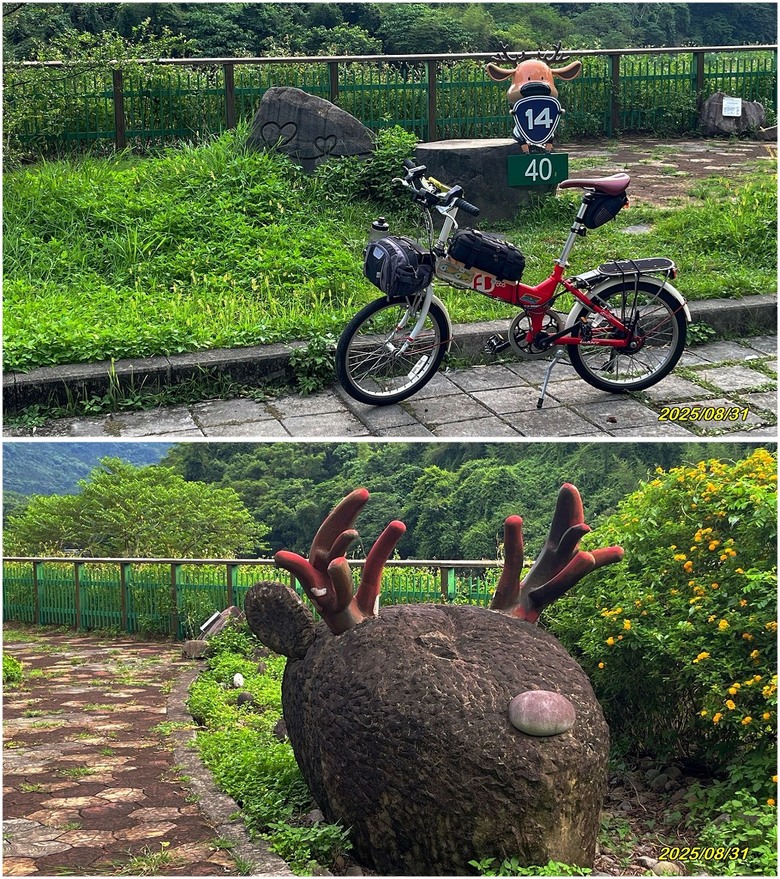 返鄉面聖-台14與鳥嘴潭新局