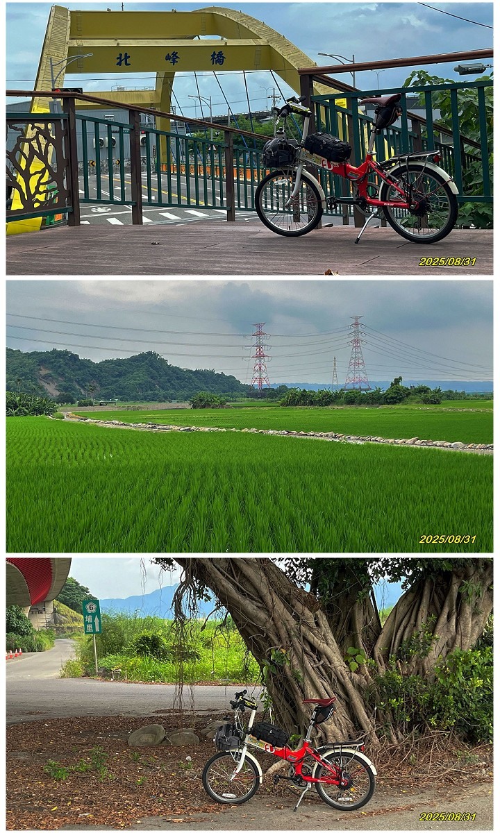 返鄉面聖-台14與鳥嘴潭新局