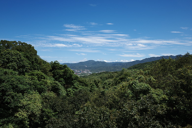 RICOH GR IV 評測報告｜影像核心、拍攝體驗雙重進化！ft. GR3x HDF