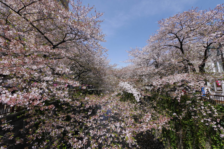 東京與東北自助鬼混 1