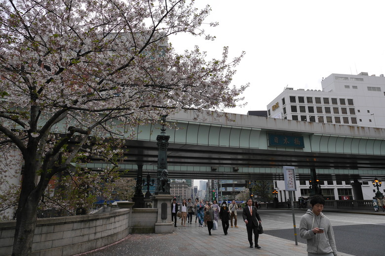 東京與東北自助鬼混 1