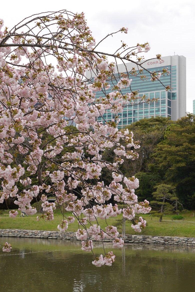 東京與東北自助鬼混 1