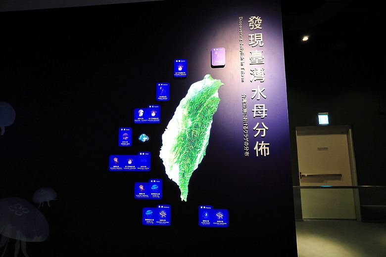 (映像旅行) 隨著河川上游一路“游”向大海，享受這座波光粼粼的美術館 in台中海洋館