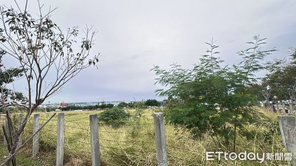 水湳生態段地王再擴張!麗晨建設砸3.19億加購角地