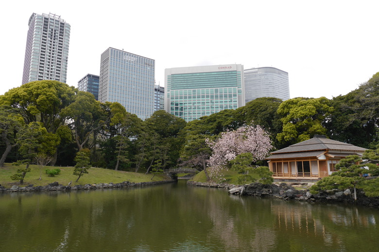 東京與東北自助鬼混 1