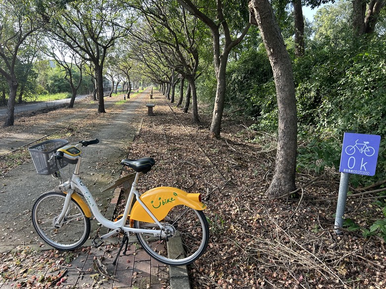 嘉 義 南 靖 保 鹿 自 行 車 道