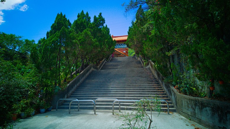 微笑山線:百年榕樹 × 大棟山405高地,鶯樹縱走大挑戰