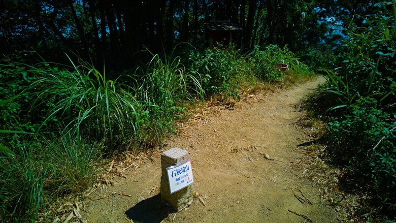 微笑山線:百年榕樹 × 大棟山405高地,鶯樹縱走大挑戰