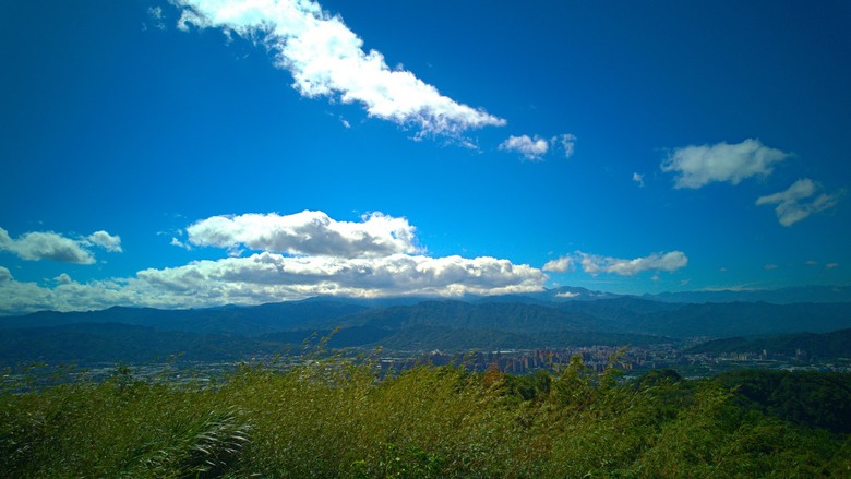 微笑山線:百年榕樹 × 大棟山405高地,鶯樹縱走大挑戰