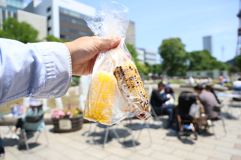 夏日北海道自由行-札幌+小樽篇(場外市場/北海道神宮/啤酒博物館/三角市場/小樽運河/堺町通/二條市場/大通公園)