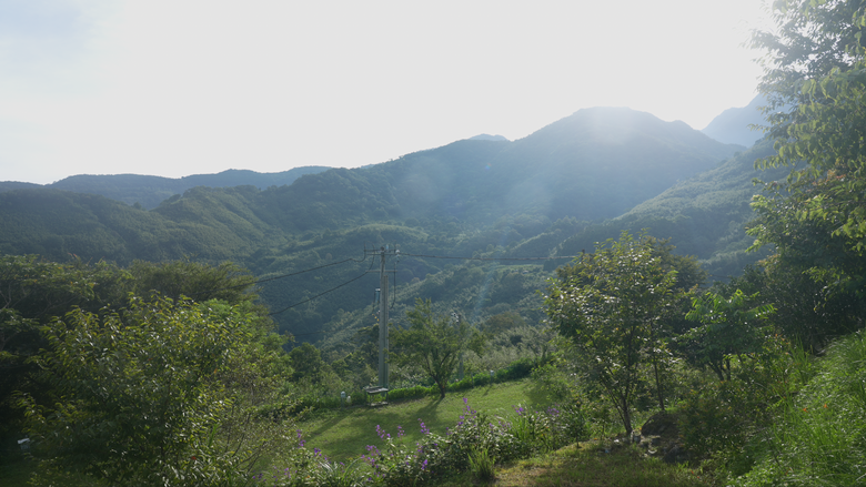 和兔兔一起夏日露營｜在艷陽和美麗夕陽下第一次搭獨立天幕｜#亞霧香草營區